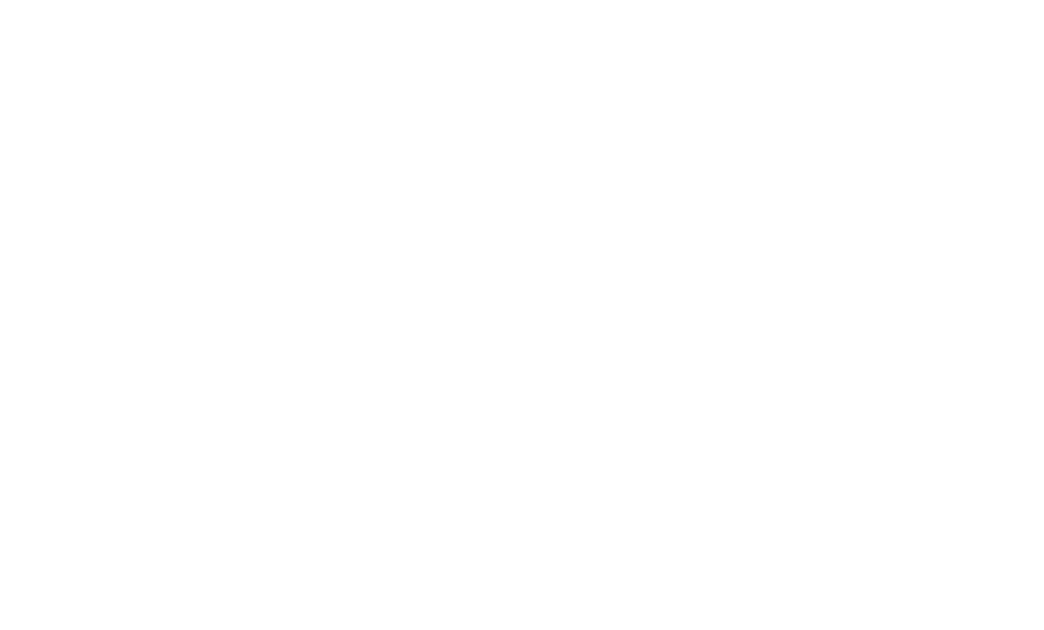 株式会社A.A.O passion